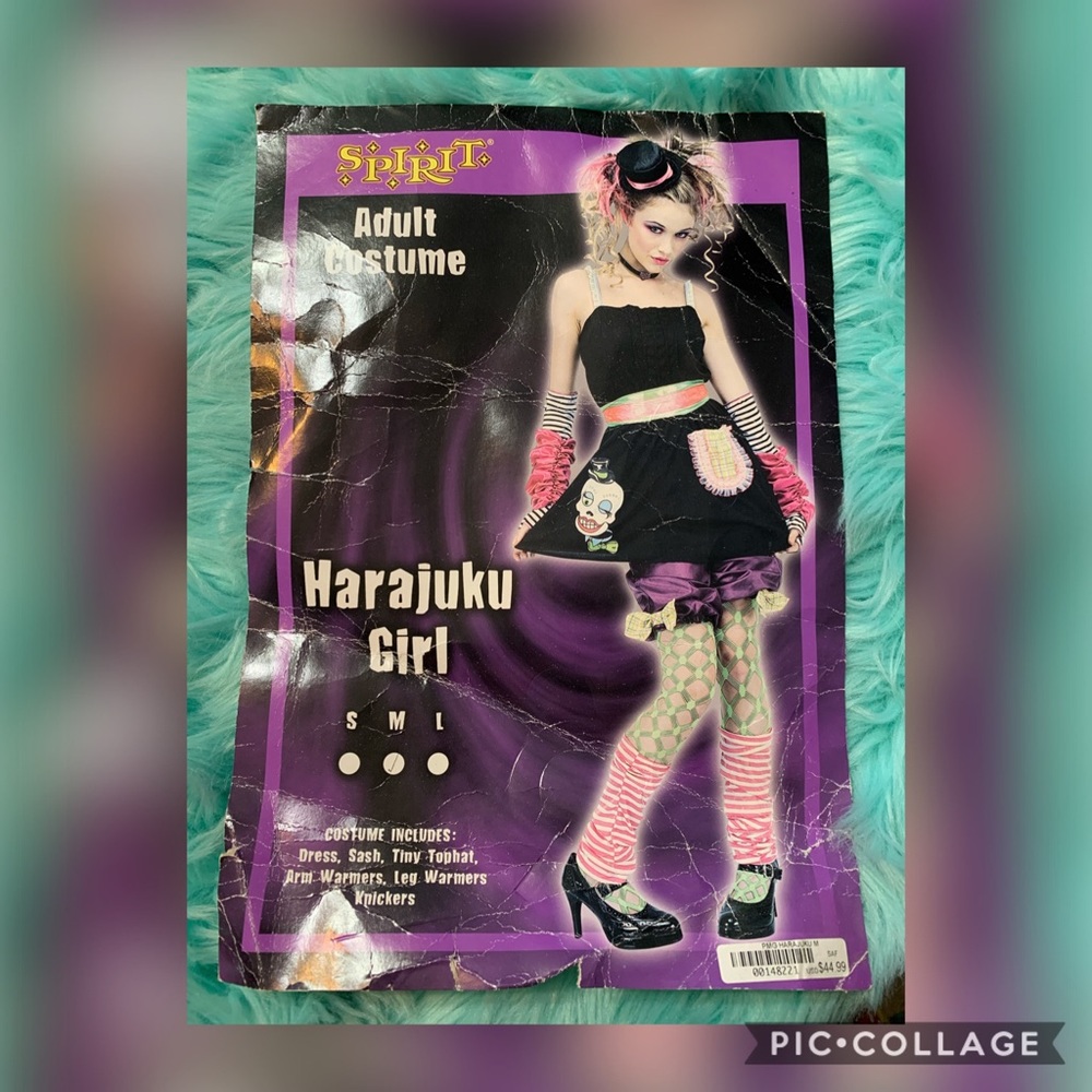 Spirit adult costume